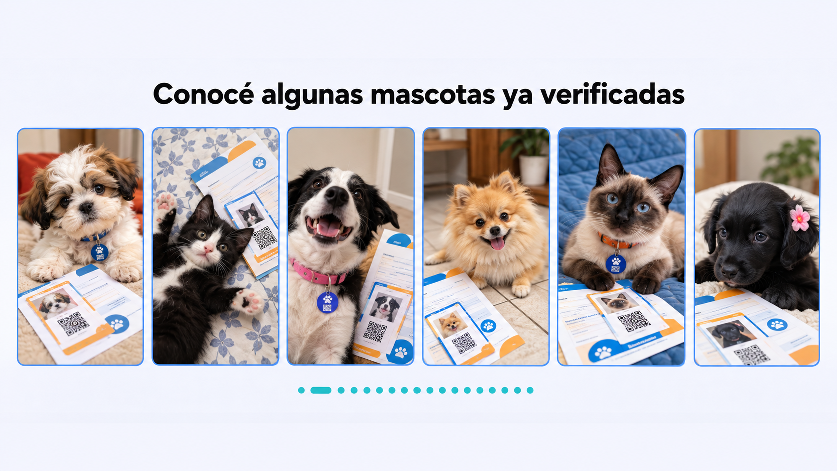 Galería ilustrativa de seis mascotas con sus identificaciones Euforia Pet ID